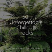 50 Unforgettable Chillout Tracks