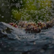 25 Summer Rain Soundscapes for Sleep and Relaxation