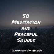 50 Meditation and Peaceful Sounds