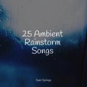 25 Ambient Rainstorm Songs