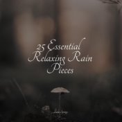 25 Essential Relaxing Rain Pieces