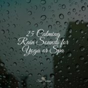 25 Calming Rain Sounds for Yoga or Spa