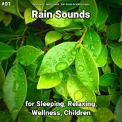 #01 Rain Sounds for Sleeping, Relaxing, Wellness, Children