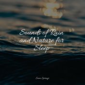 Sounds of Rain and Nature for Sleep