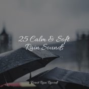 25 Calm & Soft Rain Sounds