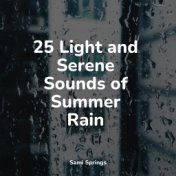 25 Light and Serene Sounds of Summer Rain