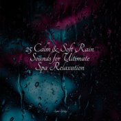 25 Calm & Soft Rain Sounds for Ultimate Spa Relaxation