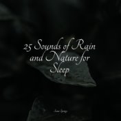 25 Sounds of Rain and Nature for Sleep