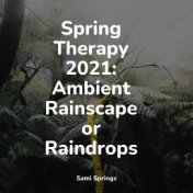Spring Therapy 2021: Ambient Rainscape or Raindrops