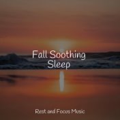 Fall Soothing Sleep