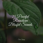 25 Peaceful Rainstorm Blissful Sounds