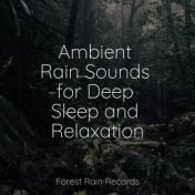 Ambient Rain Sounds for Deep Sleep and Relaxation