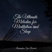 The Ultimate Melodies for Meditation and Sleep