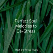 Perfect Soul Melodies to De-Stress