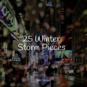 25 Winter Storm Pieces