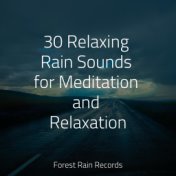30 Relaxing Rain Sounds for Meditation and Relaxation