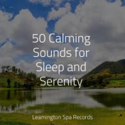 50 Calming Sounds for Sleep and Serenity