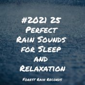 #2021 25 Perfect Rain Sounds for Sleep and Relaxation