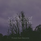 30 Sounds of Rain Sounds