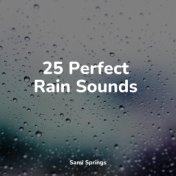 25 Perfect Rain Sounds