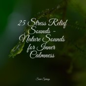 25 Stress Relief Sounds - Nature Sounds for Inner Calmness