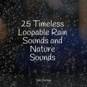 25 Timeless Loopable Rain Sounds and Nature Sounds