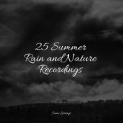 25 Summer Rain and Nature Recordings