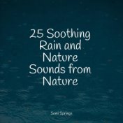 25 Soothing Rain and Nature Sounds from Nature