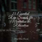 25 Essential Rain Sounds for Meditation & Relaxation