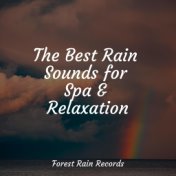 The Best Rain Sounds for Spa & Relaxation