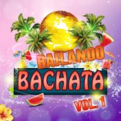 Bailando Bachata, Vol. 1