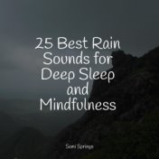 25 Best Rain Sounds for Deep Sleep and Mindfulness