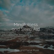 Mindfulness and Sleep Aid