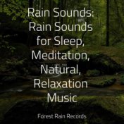 Rain Sounds: Rain Sounds for Sleep, Meditation, Natural, Relaxation Music
