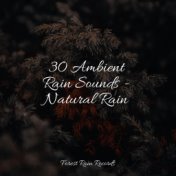 30 Ambient Rain Sounds - Natural Rain
