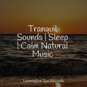 Tranquil Sounds | Sleep | Calm Natural Music