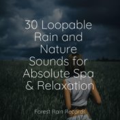 30 Loopable Rain and Nature Sounds for Absolute Spa & Relaxation