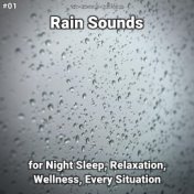 #01 Rain Sounds for Night Sleep, Relaxation, Wellness, Every Situation
