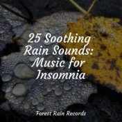 25 Soothing Rain Sounds: Music for Insomnia