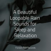 A Beautiful Loopable Rain Sounds for Sleep and Relaxation