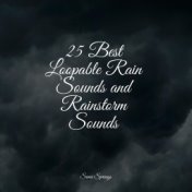 25 Best Loopable Rain Sounds and Rainstorm Sounds