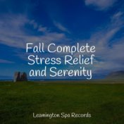 Fall Complete Stress Relief and Serenity