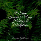 50 Sleep Sounds for Deep Healing & Mindfulness