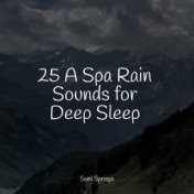 25 A Spa Rain Sounds for Deep Sleep