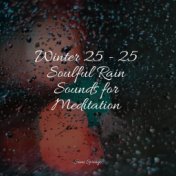 Winter 25 - 25 Soulful Rain Sounds for Meditation