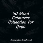 50 Mind Calmness Collection for Yoga
