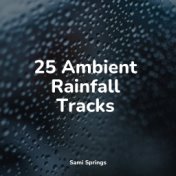 25 Ambient Rainfall Tracks