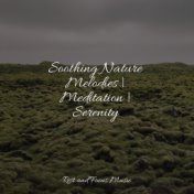 Soothing Nature Melodies | Meditation | Serenity