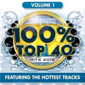 100% Top 40 Hits 2012, Vol. 1