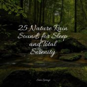 25 Nature Rain Sounds for Sleep and Total Serenity